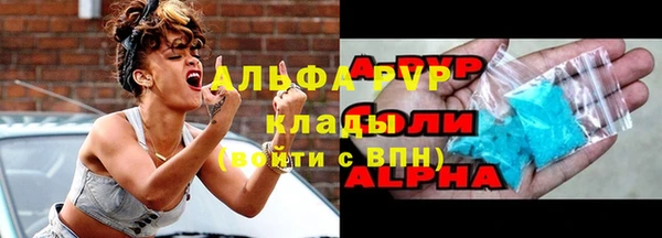 шишки Нея