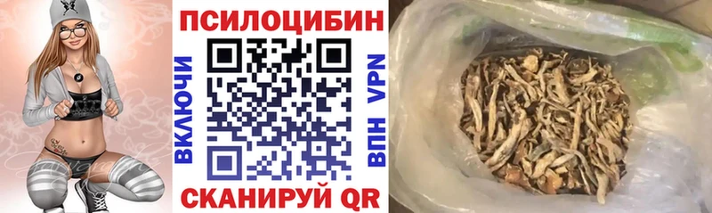 Псилоцибиновые грибы мицелий  Псков 